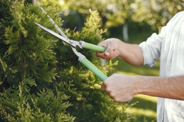 landscaping